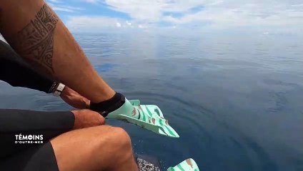 Polynésie Française : Les photos de Ben Thouard