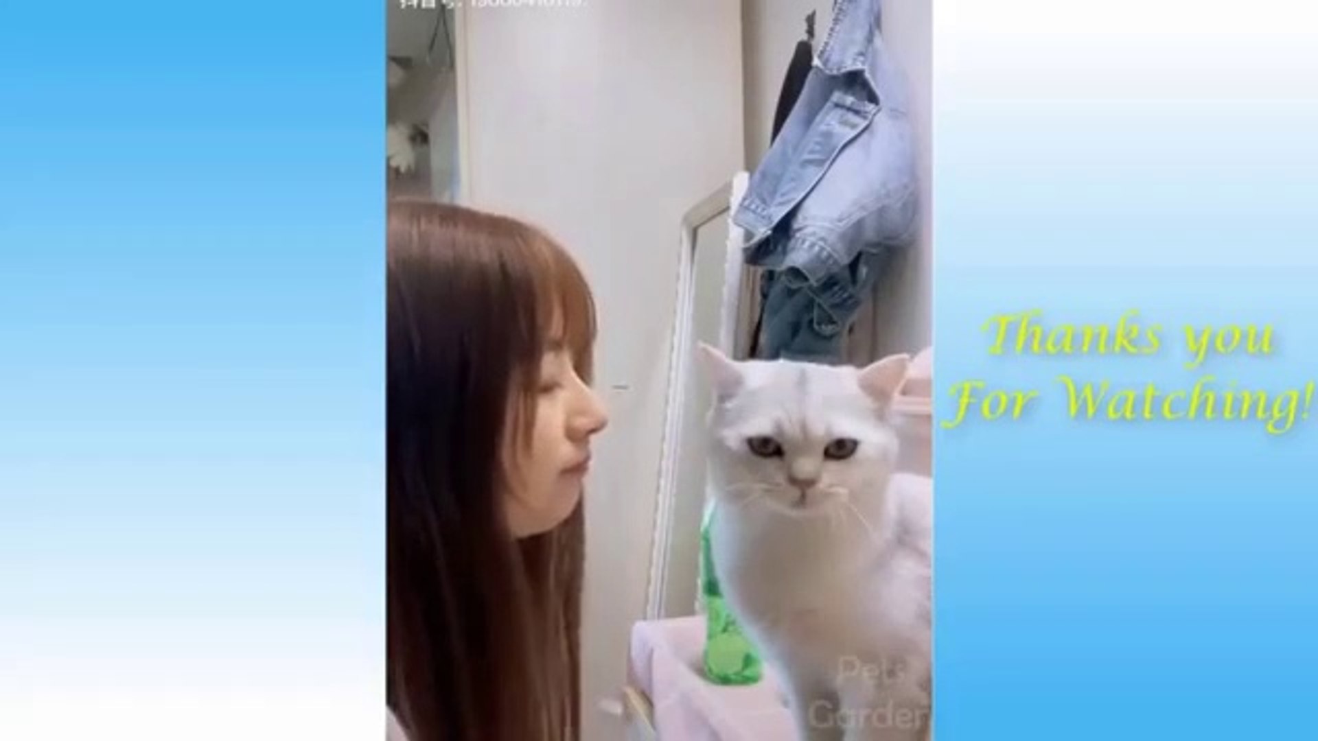 Cute Pets And Funny Animals Compilation #7 - Pets Garden