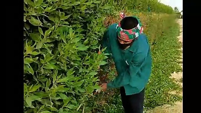 প্রবাসী কষ্টেজিবন গান বাংলা নতুন বাংলা গান বাংলাদেশের প্রবাসী কষ্টেজিবন গান বাংলা নতুন বাংলা গান বাংলাদেশের প্রবাসীদের জীবন কেমন কাটে? এ প্রশ্নটা অনেকেরই। কারও কারও রয়েছে বিশেষ কৌতূহল। অন্তত যাঁরা প্রবাসী নন। কৌতূহলটা তাঁদেরই বেশি য