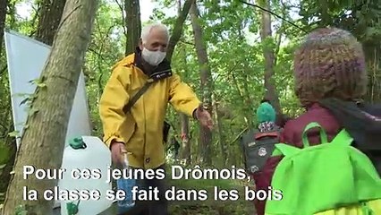 Faute d'école, des élèves drômois ont cours... dans les bois!
