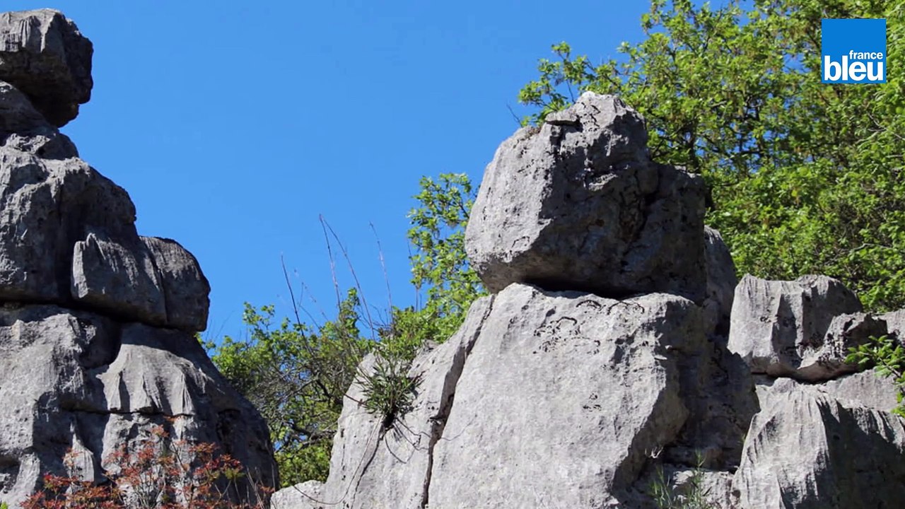 Le_Patrimoine de Daphné - le bois de Païolive - Ardèche