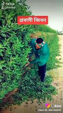 প্রবাসী কষ্টেজিবন গান বাংলা নতুন বাংলা গান বাংলাদেশের প্রবাসীদের জীবন কেমন কাটে? এ প্রশ্নটা অনেকেরই। কারও কারও রয়েছে বিশেষ কৌতূহল। অন্তত যাঁরা প্রবাসী নন। কৌতূহলটা তাঁদেরই বেশি যাঁদের স্বজনেরা প্রবাসী। আমজনতার আগ্রহ যে নেই,