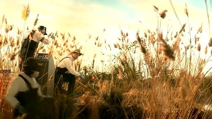 Un Incendio en la Bodega Mayday Catastrofes Aereas MCA