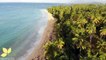Best Seascape Footage Of A Beach Resort |Best Drone Footage Of A Shoreline |Best Nature beauty