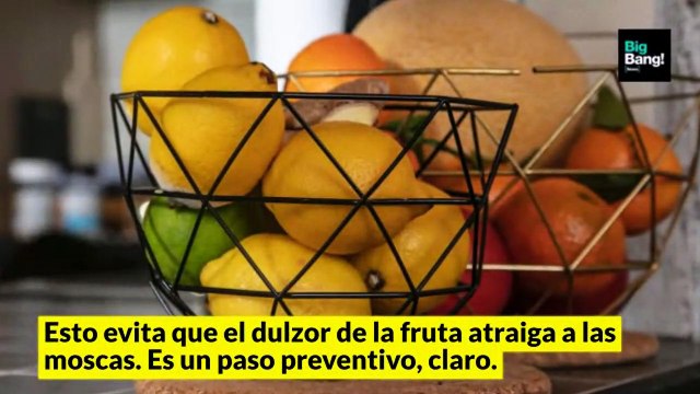 Implementá estos sencillos y efectivos trucos para eliminar las insoportables mosquitas de la fruta