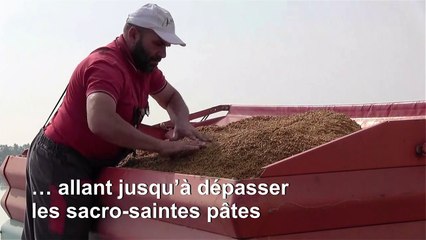 Pendant la pandémie, le riz d'Italie retrouve des couleurs