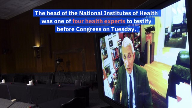 Fauci Warns Senate About 'Serious' Consequences If States Open Too Soon