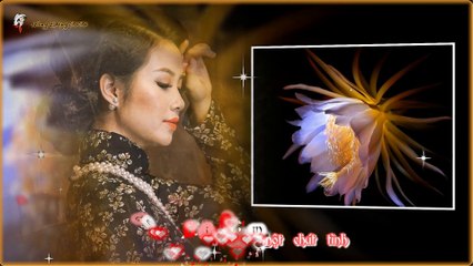 DẠ QUỲNH HƯƠNG - Tiếng hát TRẦN THÁI HÒA