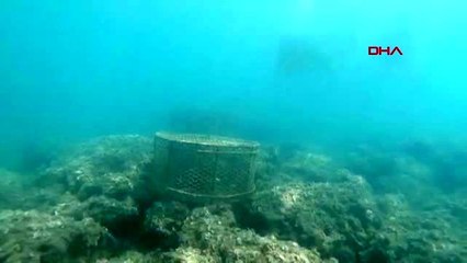 Hatay'da, yasa dışı 'balık' avlayanlara operasyon