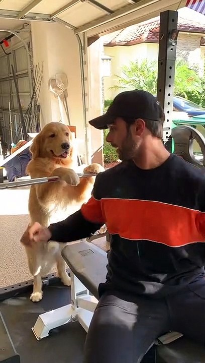 Leo Will Help Once he Gets Food