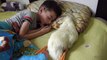 Elle surprend son fils en train de dormir avec un canard... amitié adorable