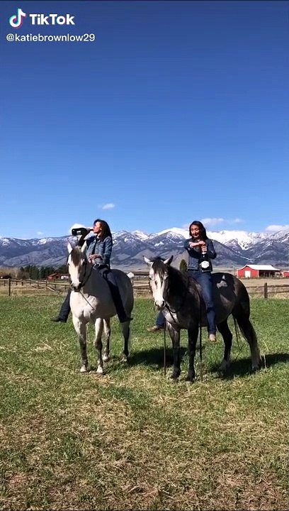Ouvrir une bouteille de Champagne à cheval : mauvaise idée