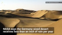 Green Oasis Sprouts in China’s Largest, Driest, and Hottest Desert