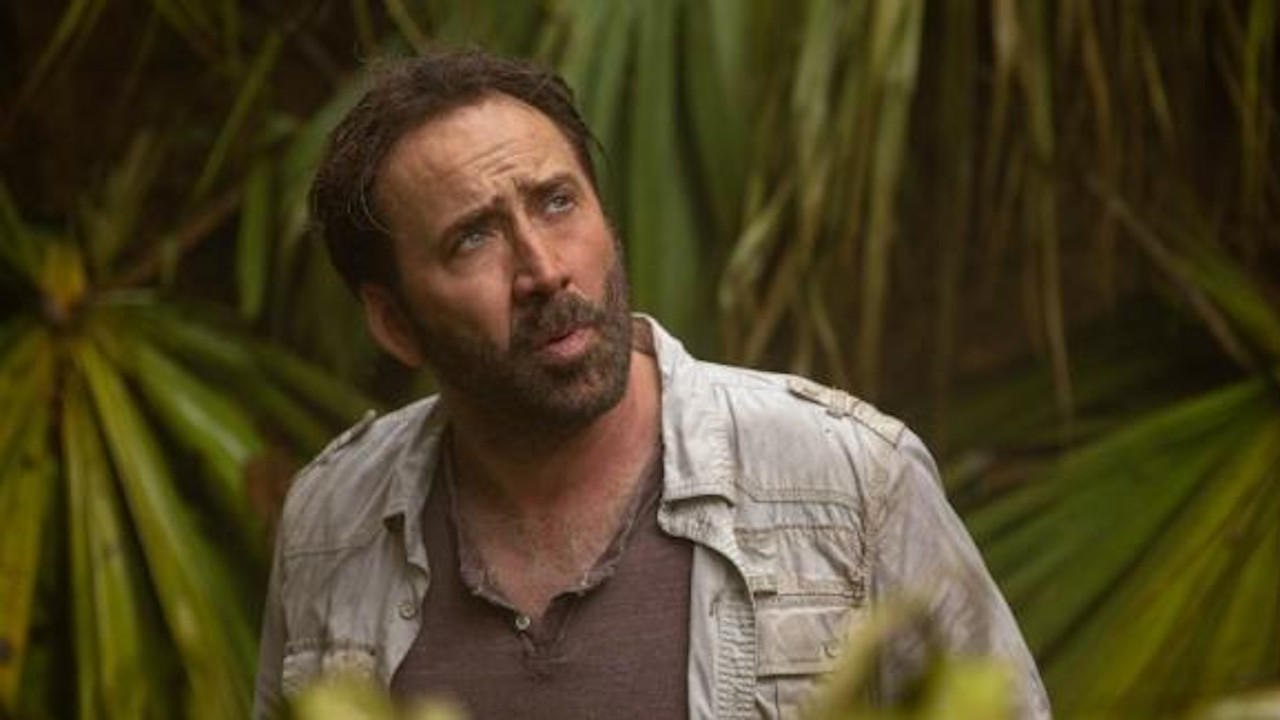 Nicolas Cage wird zum Tiger King