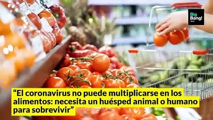 ¿Hay que desinfectar las frutas y verduras? Las 10 recomendaciones de la OMS sobre la limpieza tras hacer las compras