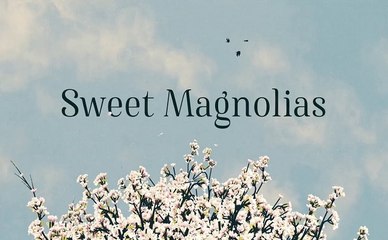 Sweet Magnolias - Trailer Saison 1