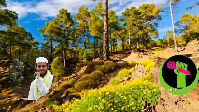 ভালো লাগার মতো একটি ইসলামী সংগীত না দেখলে বুজবেননা খুব সুন্দর একটি ইসলামীক ভিডিও..