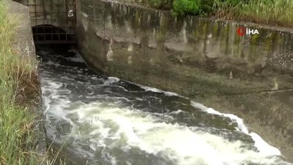 Aydınlı üreticiler, Büyük Menderes'ten su verilen kanaldaki kirliliğe bir çözüm bulunmasını istiyor