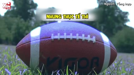 Top 10 những lầm tưởng tai hại nhất về thế giới động vật (P.2)