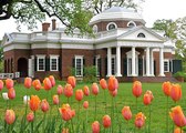 Take a Virtual Tour of Thomas Jefferson's Monticello