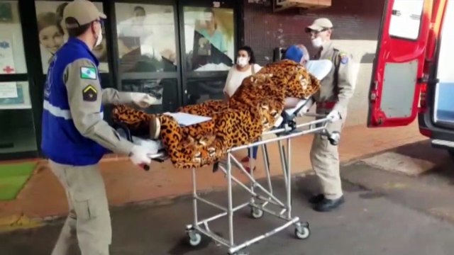 Idoso fica ferido ao sofrer queda no Bairro Santa Felicidade