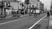 Sorties de la forêt ces biches marchent en ville au Japon