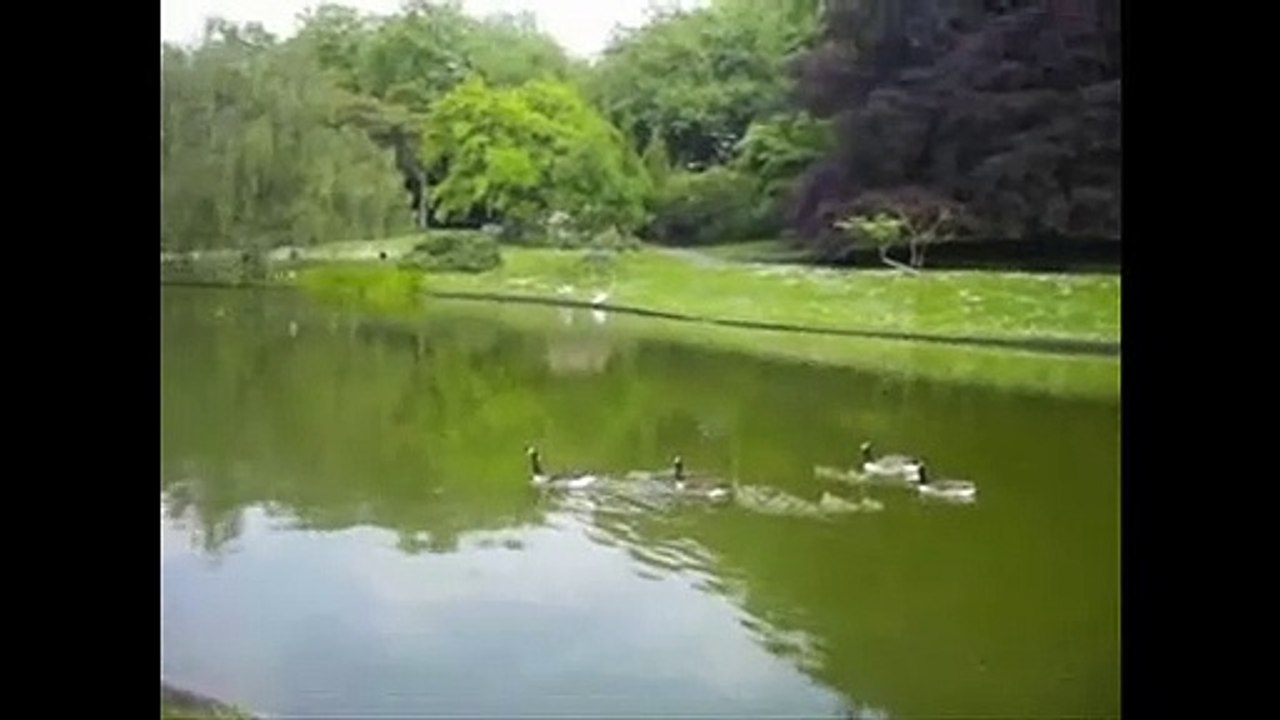 Balade dans la nature parc Barbieux Roubaix
