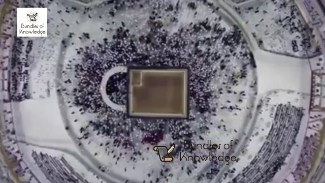 Is Israel Develop A Coronavirus Vaccine | Corona Vaccine & Israel | Bundles Of Knowledge