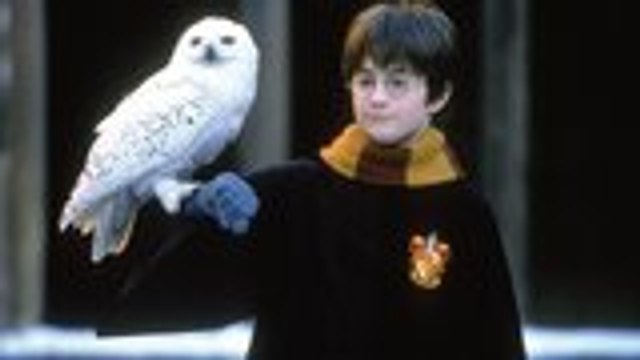 Daniel Radcliffe, David Beckham Set to Read Chapters of 'Harry Potter and The Sorcerer's Stone' | THR News