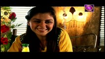 Dehleez - Episode 27 & 28 - ARY Zindagi Drama