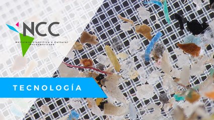 ¿Cómo afecta el consumo de microplástico al cuerpo humano?