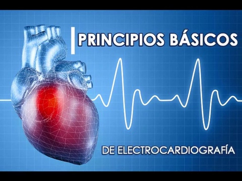 PRINCIPIOS BÁSICOS DE ELECTROCARDIOGRAFÍA • Sistema de conducción CARDÍACA