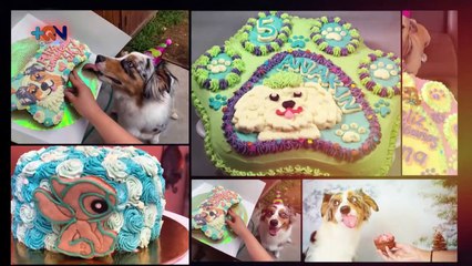 mqn-Joven creó su propio negocio a partir de queques y postres para mascotas-050520