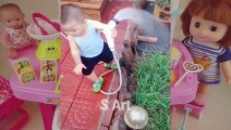 Cutest Baby Family Moments Cute baby funny Fails Baby Video 2020 cute baby eating Ice cream
