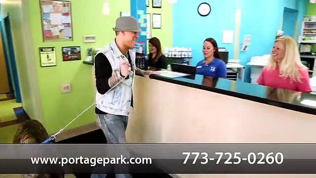 Specialize Veterinary Hospital At Chicago - Portage Park Animal Hospital & Dental Clinic