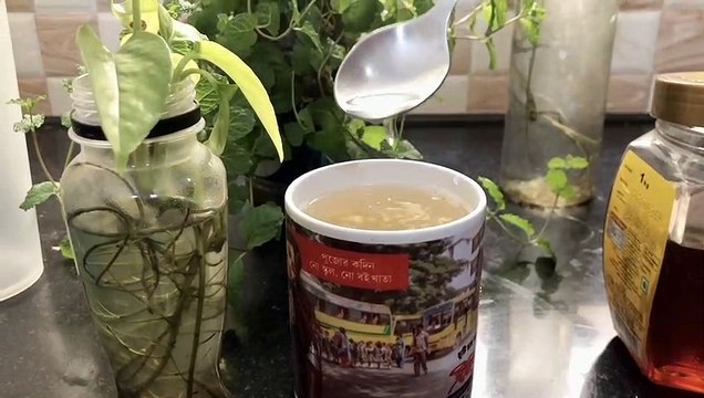 Korean Ginger Lemon Honey Tea to boost immunity