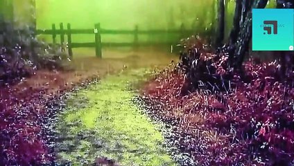 sehri ke masail सहरी के मसाइल سحری کے مسائل   may 6, 2020