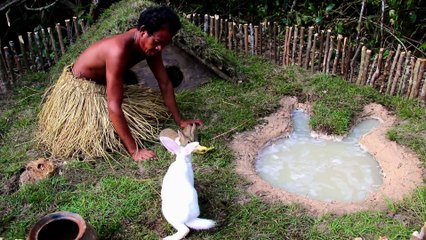 Build Rabbit House With Beautiful Swimming Pool