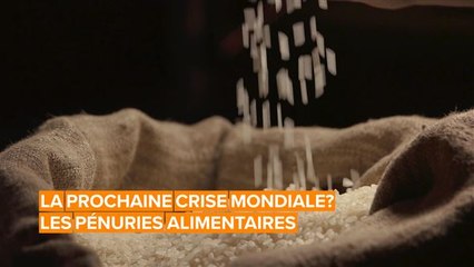 Selon les experts, la prochaine crise mondiale sera alimentaire