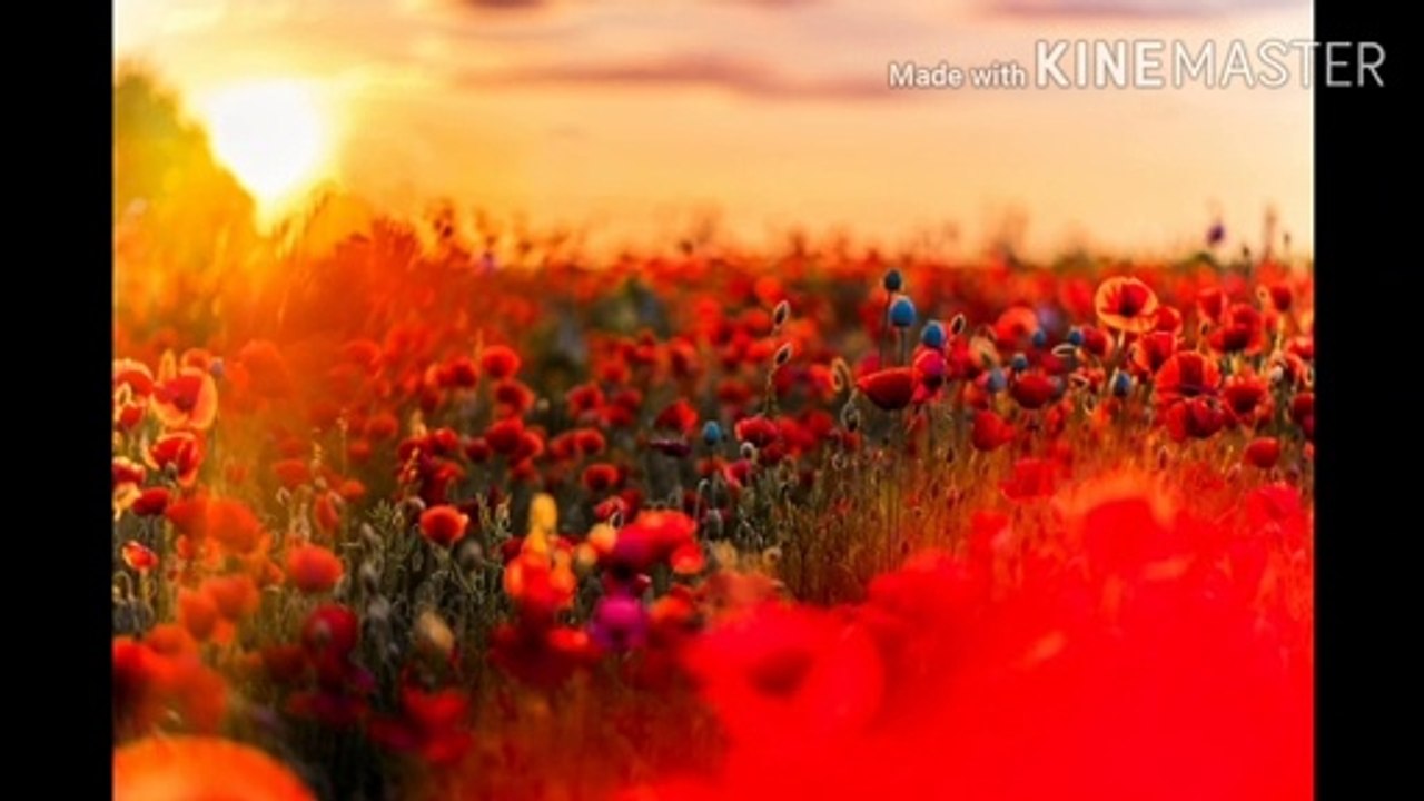 Nature Beauty, Relaxation, meditation, sleeping , positive energy,8d flut music