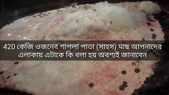 926 POUNDS STING RAY CUTTING SKILLS || GO DAYAL || FISH CUTTING