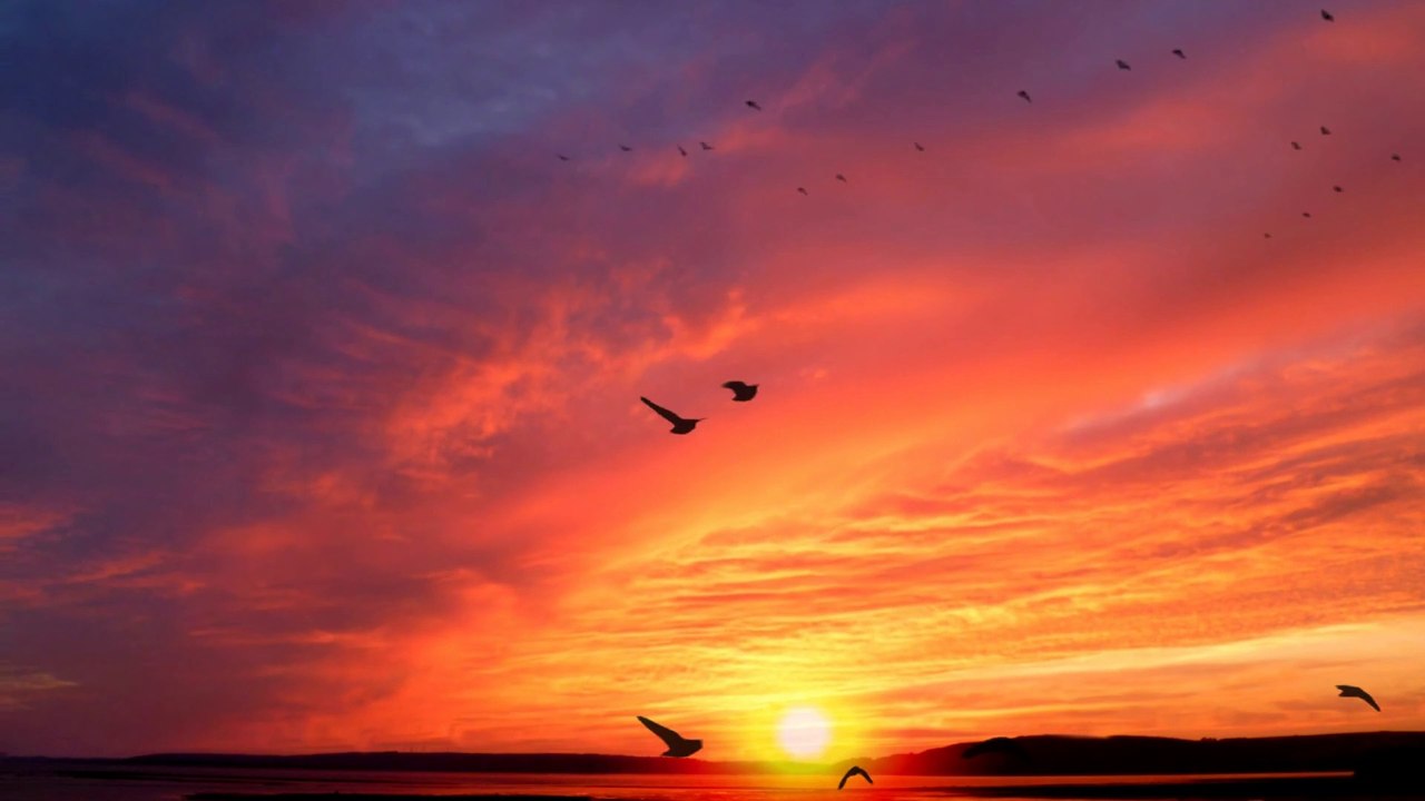 Relaxing Piano Music: Deep Sleeping Music, Stress Relief, Meditation Music
