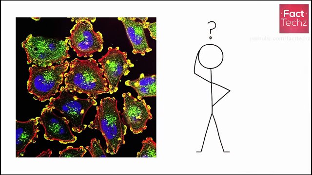 भारत की 3 सबसे उन्सुल्झी रहस्यमयी और अजीब घटनाएं | Top 3 Unsolved Mystries of India