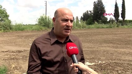 ADANA SOĞANA 250 TONLUK İHRACAT SERBESTLİĞİ