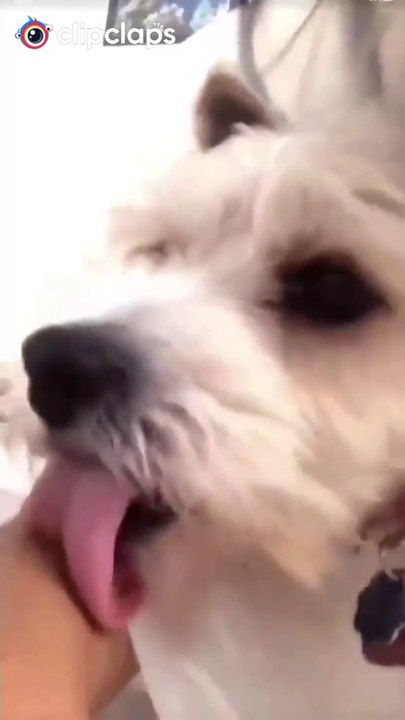 Funny video #1