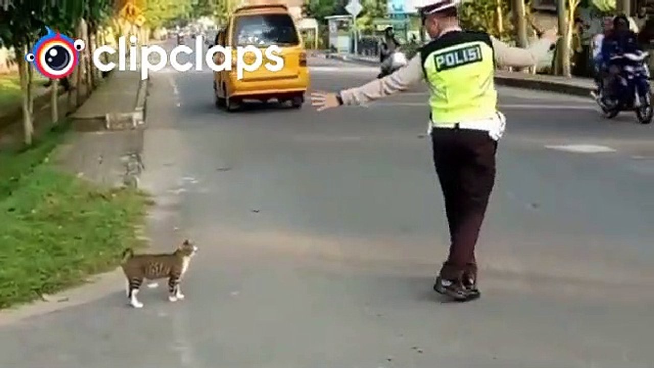 Funny videos #4