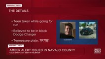 Amber alert issued in Navajo County