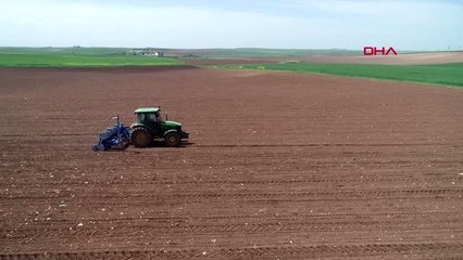 DİYARBAKIR'DA PAMUK ÜRETİCİSİNİN HEDEFİ, REKOLTEDE ARTIŞ