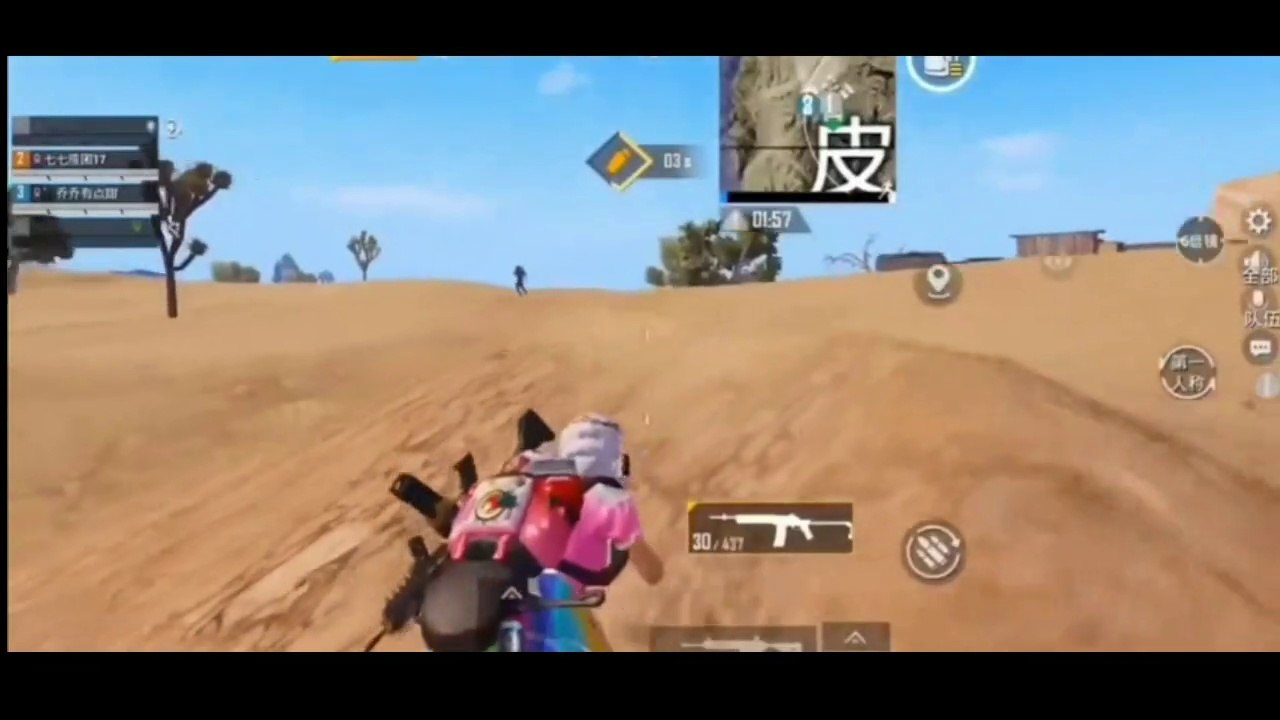 Pubg mobile mini 14 auto