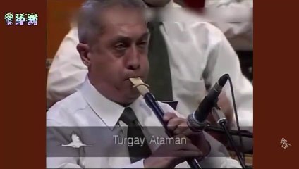 Mah Cemalin Güneşmidir Aymıdır - THM